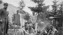 «Охота на зайцев»: чем закончился побег советских пленных из концлагеря Маутхаузен Счет не сошелся