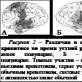 Metode psihofiziologice Metode de cercetare psihologică în psihofiziologie