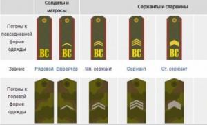 Sistemul de grade militare în armata imperială rusă