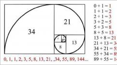 Fibonacciho čísla: hľadanie tajomstva vesmíru Fibonacciho postupnosť čísel v prírode