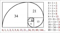 Numerele Fibonacci: în căutarea secretului universului șirul de numere Fibonacci din natură