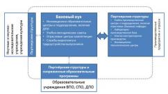 Forma de rețea de implementare a programelor educaționale