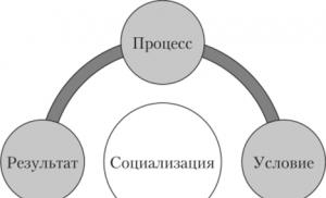 Care este socializarea copiilor la vârsta preșcolară: este nevoie de o grădiniță?