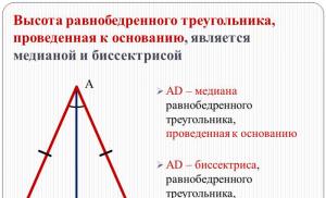 Все, что нужно знать о треугольнике